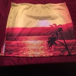 Swim Skirt